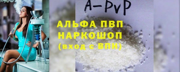 индика Гусь-Хрустальный