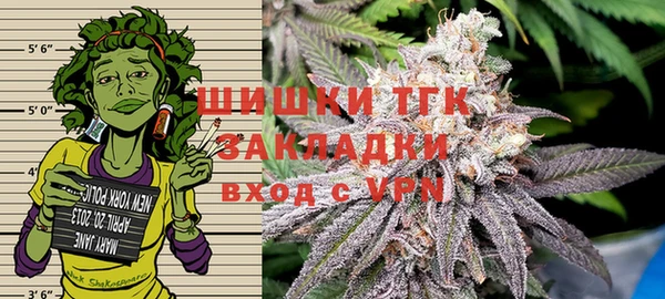 индика Гусь-Хрустальный