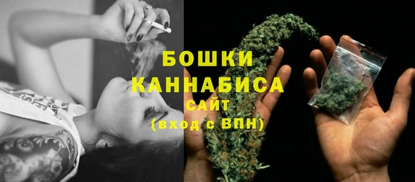таблы Гусев