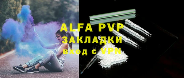 таблы Гусев