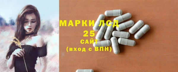 индика Гусь-Хрустальный