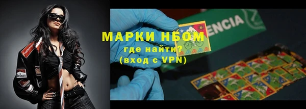 индика Гусь-Хрустальный