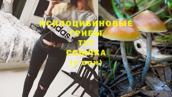 индика Гусь-Хрустальный