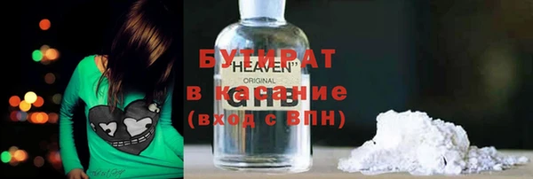 индика Гусь-Хрустальный