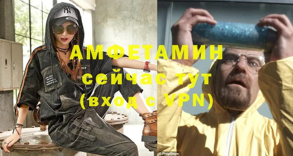 индика Гусь-Хрустальный