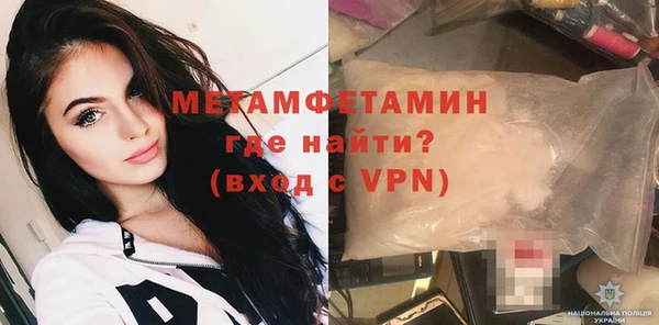 индика Гусь-Хрустальный
