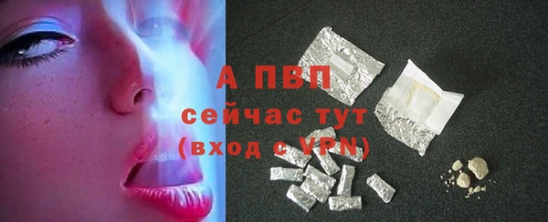 индика Гусь-Хрустальный