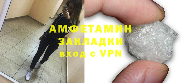 индика Гусь-Хрустальный
