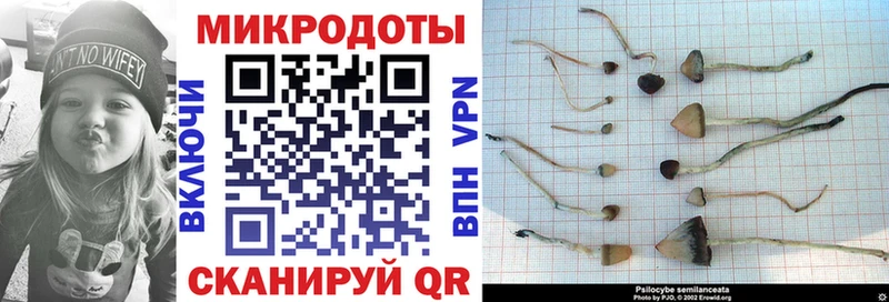 Галлюциногенные грибы ЛСД  Гдов 